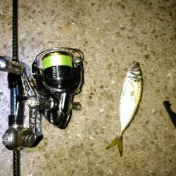 水温低下を告げるヤツ